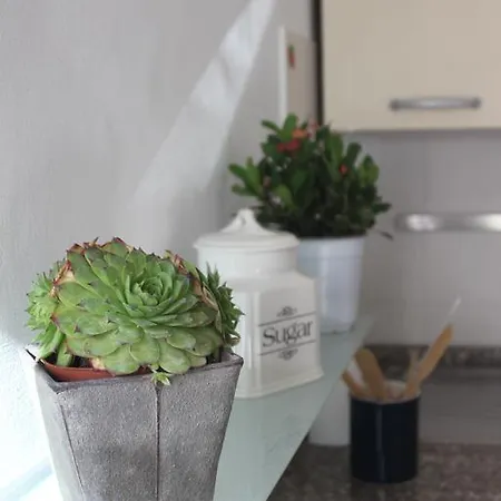 Di Anna דירה אסיסי